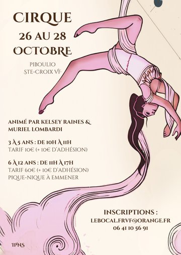 STAGE DE CIRQUE