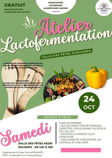 Atelier Lactofermentation