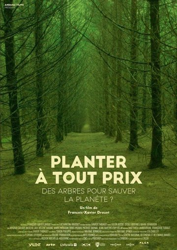 Planter à tout prix Des arbres pour sauver la planète ?
