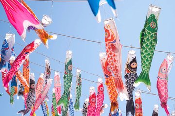 Exposition de koinobori