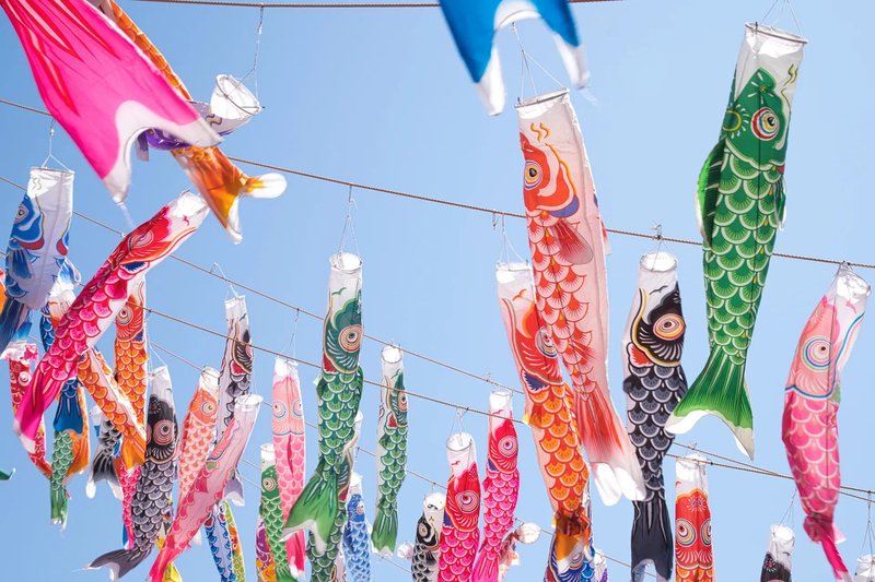 Exposition de koinobori