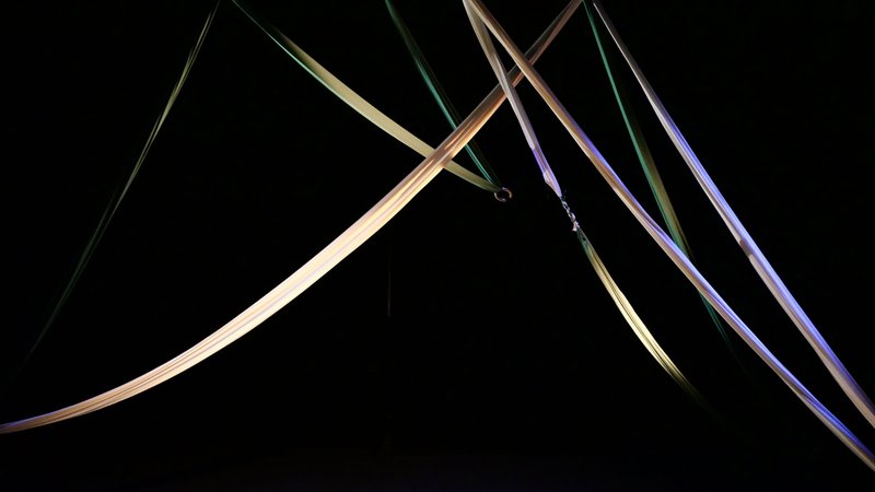 Masterclass de cirque aérien