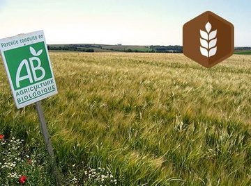 Formation - Mise en œuvre de l'Agriculture biologique de conservation pour s'adapter au changement climatique