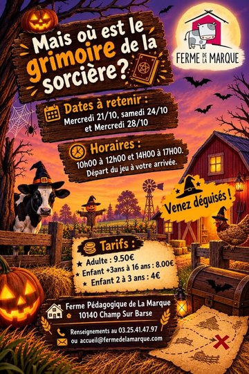 Halloween - Mais où est le grimoire de la sorcière ?