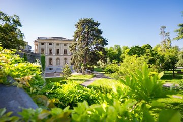 Visites guidées à la découverte des arbres du parc des Bastions