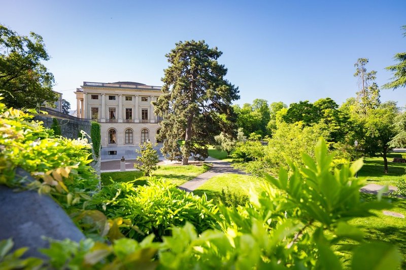 Visites guidées à la découverte des arbres du parc des Bastions