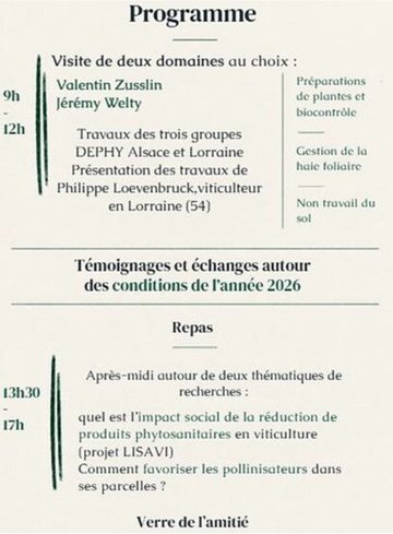 Pratiques viti : qu’est ce qui est fait dans notre région ?