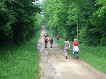 Randonnées pédestres du Téléthon à Bassignac-le-Haut