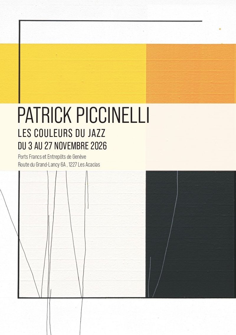 Exposition Patrick Piccinelli