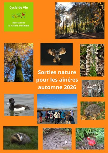 La magie des arbres en automne