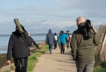 Formation aux oiseaux du littoral : les limicoles, le temps de l'hiver