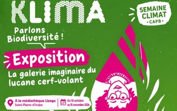 Semaine Klima : Exposition La galerie imaginaire du lucane cerf-volant
