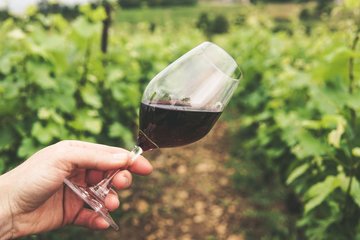 6ème Salon des vins natures