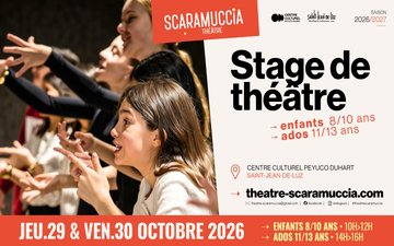 Stage de théâtre pour enfants (11/13 ans)