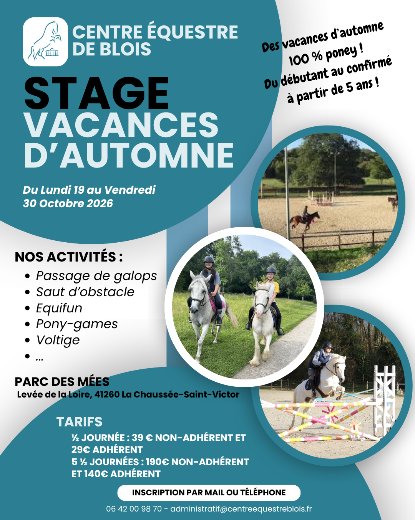 Stage équitation