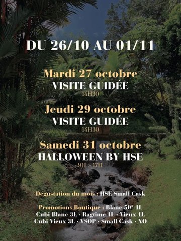 VISITE GUIDÉE, HALLOWEEN BY HSE