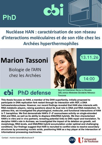 PhD Marion Tassoni - Nucléase HAN : caractérisation de son réseau d'interactions moléculaires et de son rôle chez les Archées hyperthermophiles