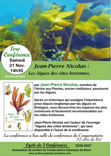 Les Algues des côtes bretonnes