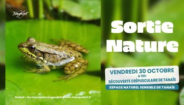 Sortie nature : découverte crépusculaire de Tanaïs