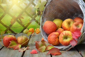 Fête de l'Automne