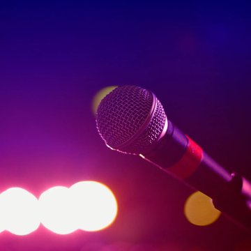 Mondial d'improvisation professionnel francophone
