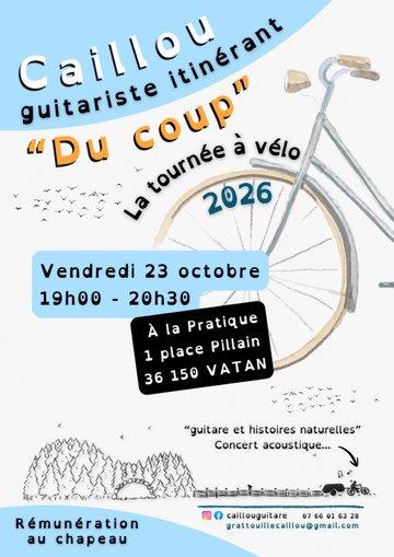 Concert Caillou - guitariste itinérant