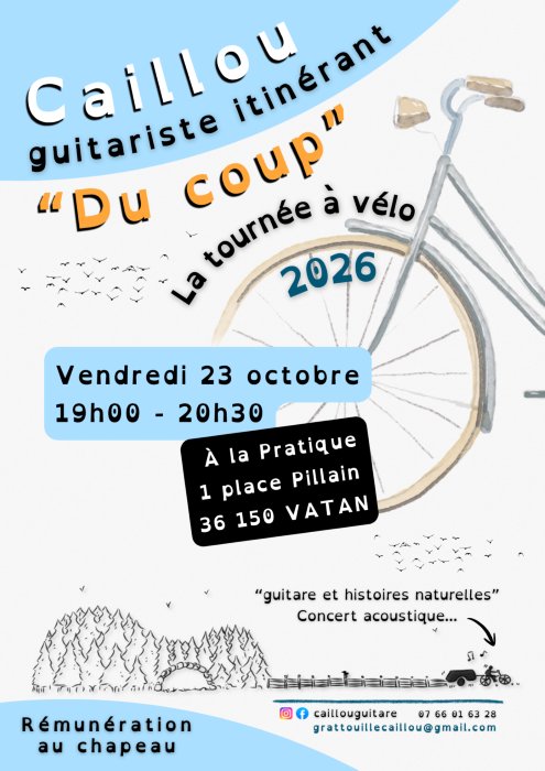 Concert Caillou - guitariste itinérant