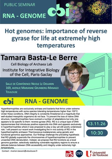 Hot genomes: importance of reverse gyrase for life at extremely high temperatures