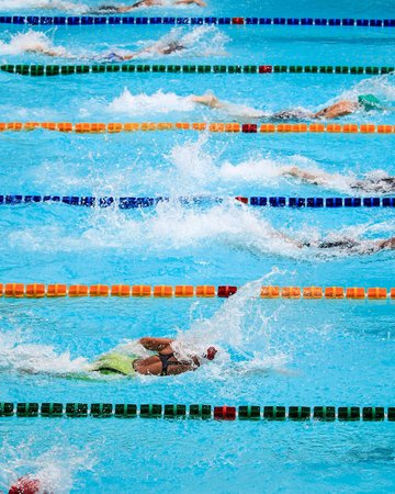 entente natation louviers