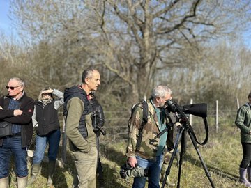 Observation des oiseaux migrateurs