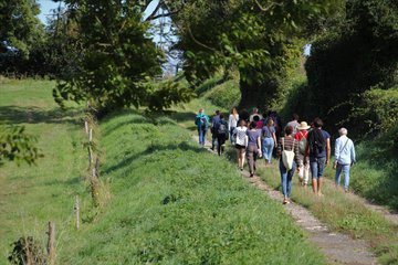 Balade nature commentée autour de Ryes