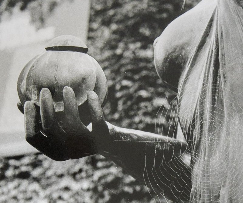 Deux regards sur l'argentique