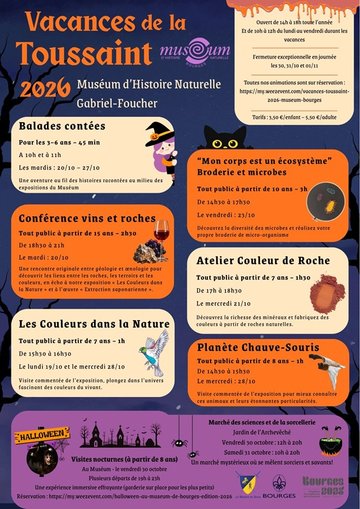 VISITE GUIDÉE : Visites Nocturnes du Museum