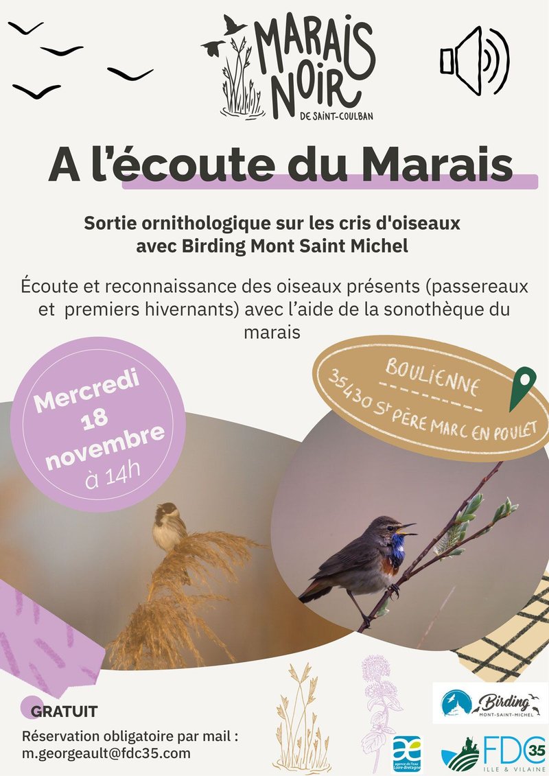 A l'écoute du marais