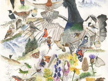 Conférence : La biodiversité du Val d’Argent