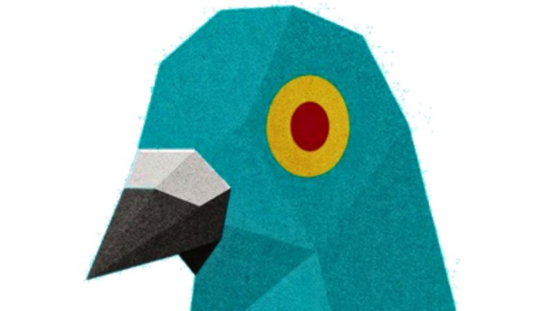 Complot : “les oiseaux n'existent pas”