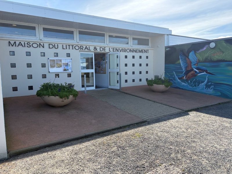 Atelier tout public : fabriquons un nichoir