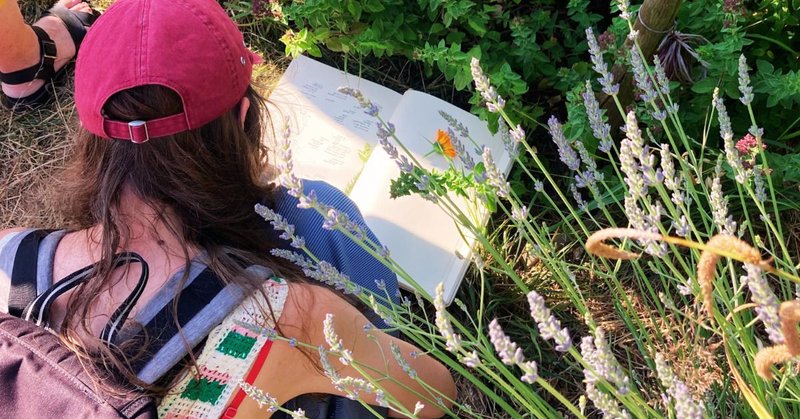 Stage 1 jour : s'initier à la culture des plantes médicinales
