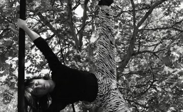 Stage mât chinois