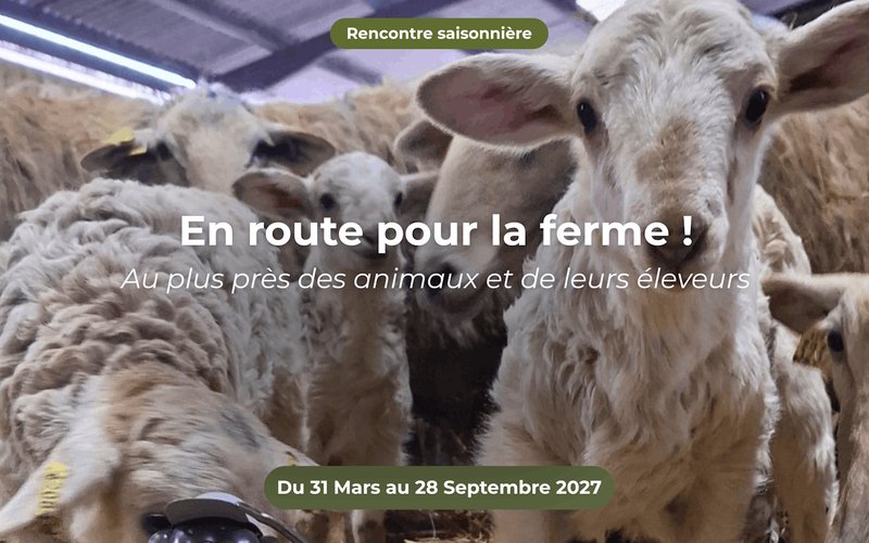 En route pour la ferme en quadricycle électrique avec E-Pottok