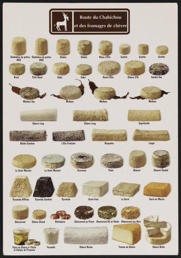 Atelier fromages de chèvre aux Archives départementales des Deux-Sèvres à Niort