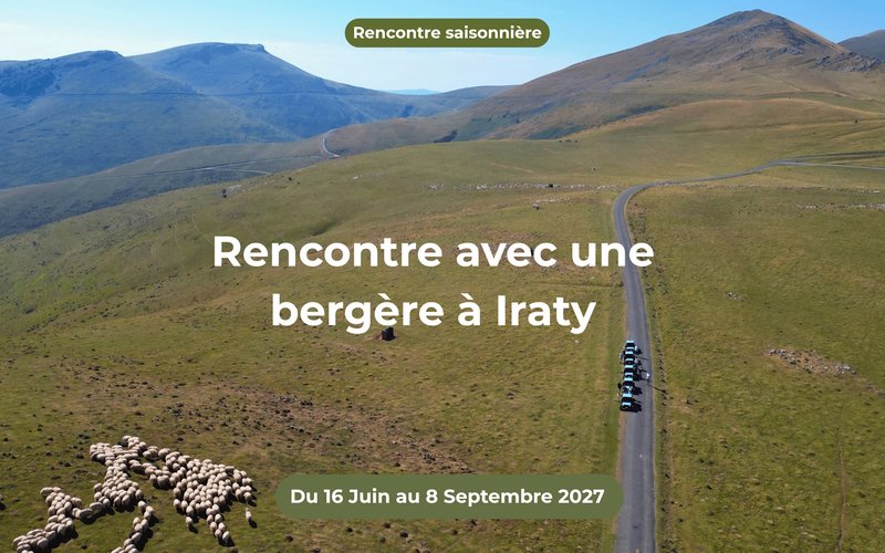 Randonnée en quadricycle électrique à Iraty, rencontre avec une bergère et pause gourmande en estive