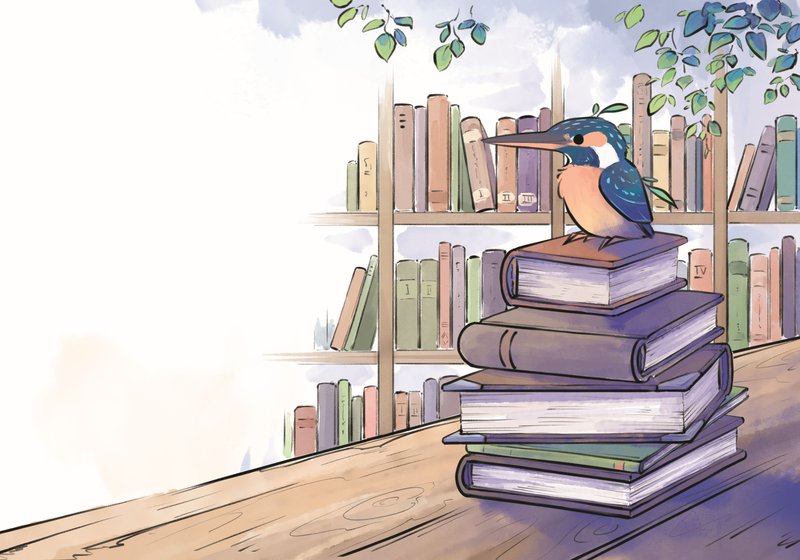 Heure du conte : histoires d'oiseaux (dès 3 ans)