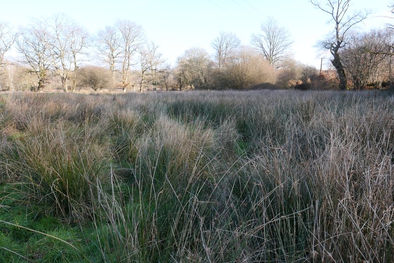 Chantier participatif en faveur des amphibiens
