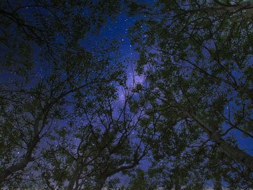 Marche contée : A l'affût des rois mages