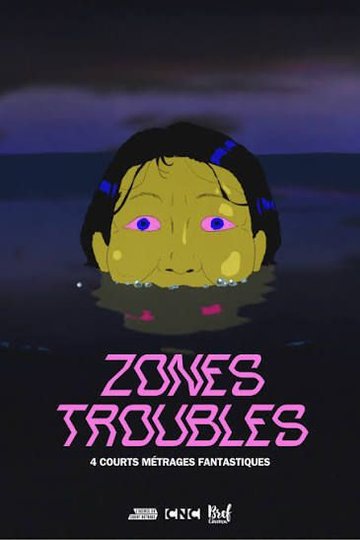 ZONES TROUBLES