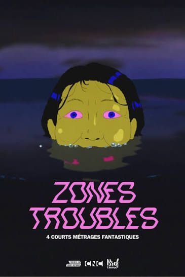 ZONES TROUBLES