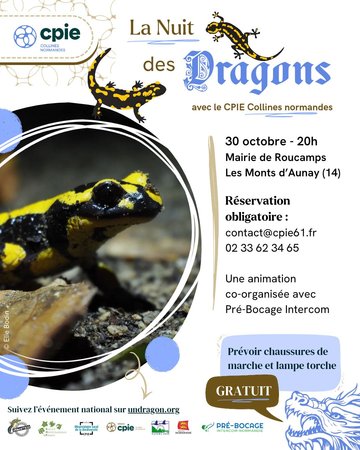 Nuit des dragons