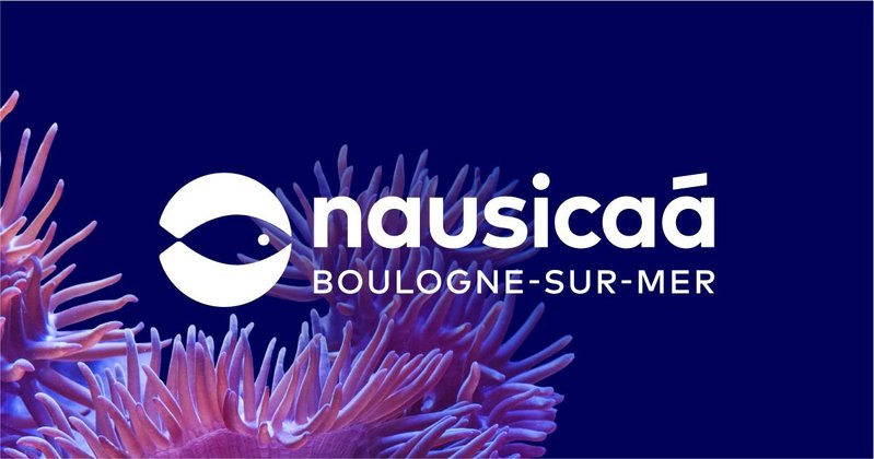 Nausicaá, une plongée dans l’univers de la maintenance industrielle