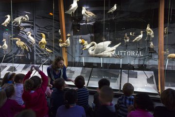 Musée des tout-petits : Le carnaval des animaux
